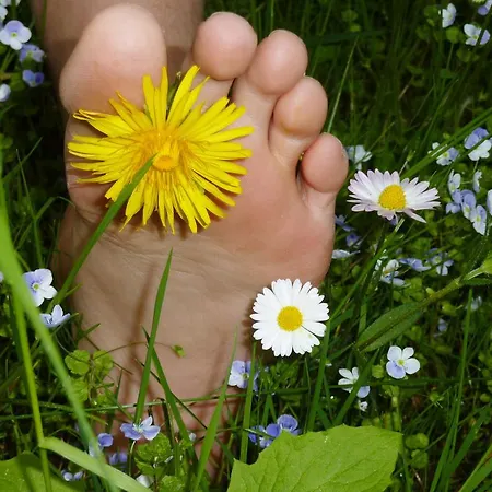 Ferienappartment Zuerker شقة جارمش بارتنكيرشن