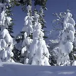 Апартаменты Ferienappartment Zuerker *