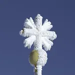 Ferienappartment Zuerker