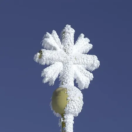 Ferienappartment Zuerker