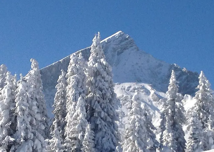 Apartamento Ferienappartment Zürker *