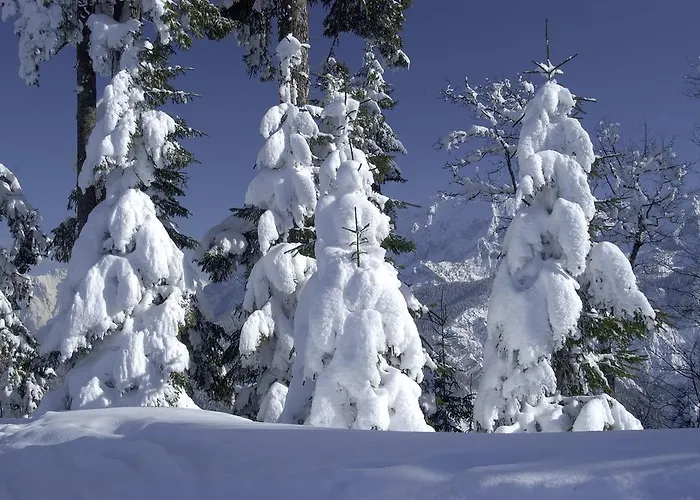 Apartamento Ferienappartment Zürker *