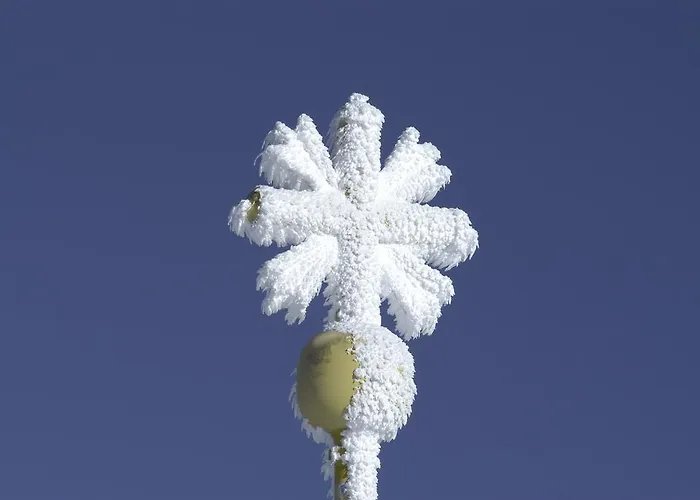 苏卡尔度假公寓